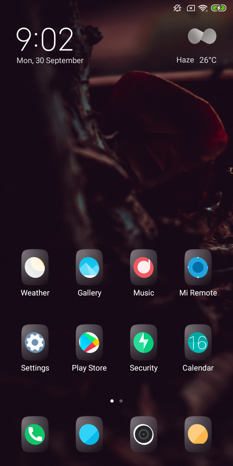Dark Leaf_DWM2 screenshot