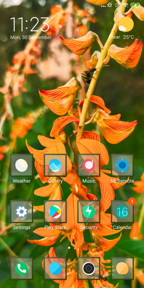 Flora_DWM2 screenshot