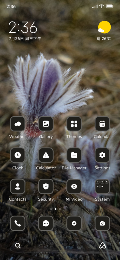 Crocus screenshot