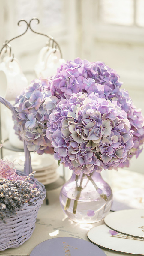 These things about Hydrangea 5 screenshot