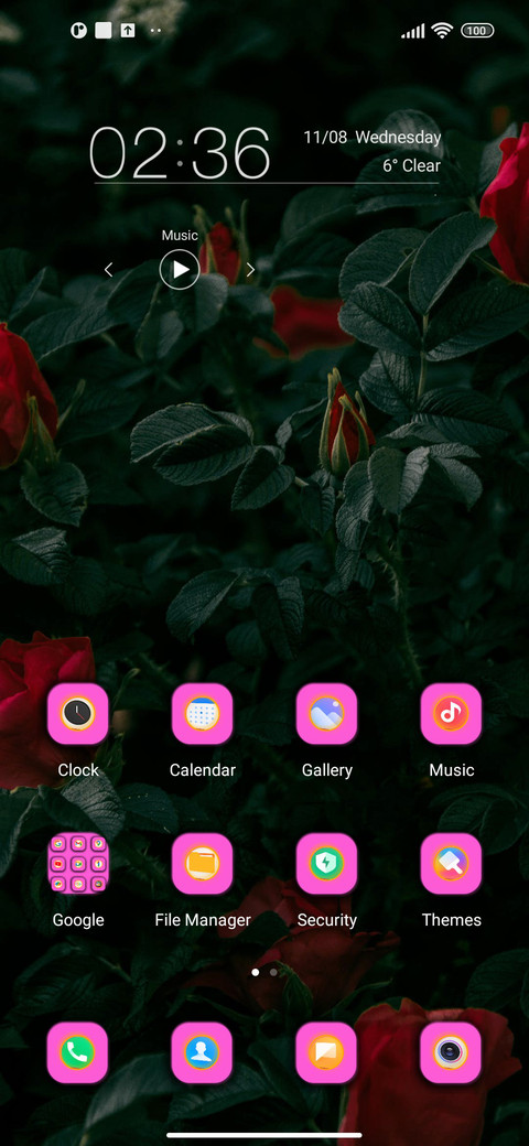 Special Theme screenshot