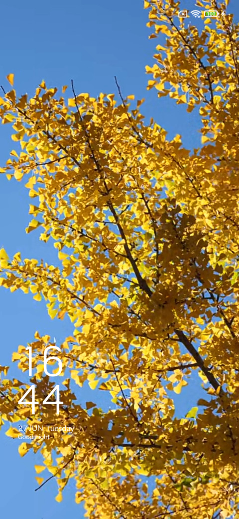 Swaying wind screenshot