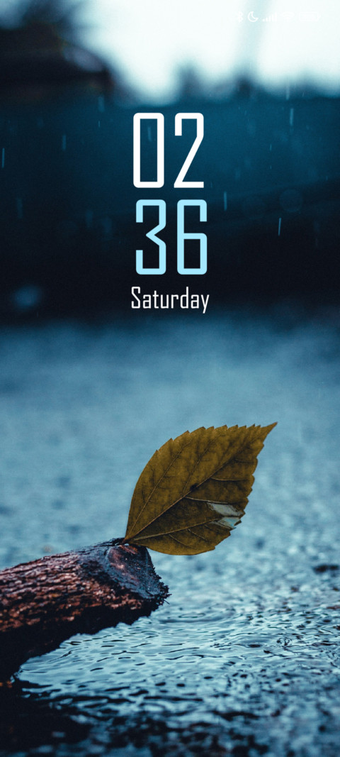 Dry Leaf screenshot