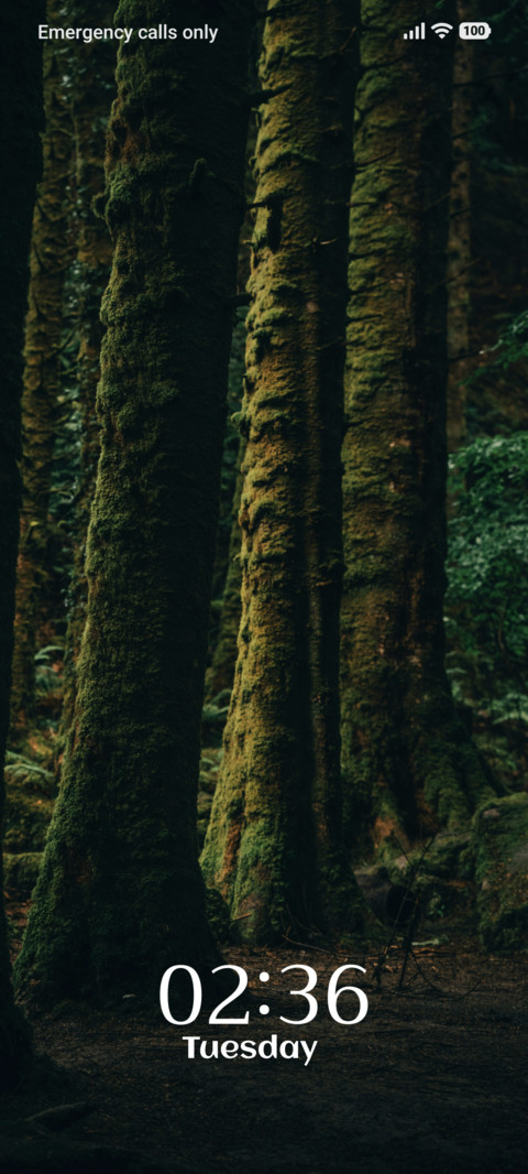 Shadow Moss screenshot