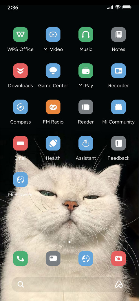 Cat screenshot