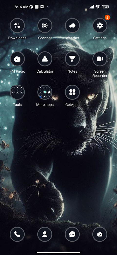 Black Panther screenshot