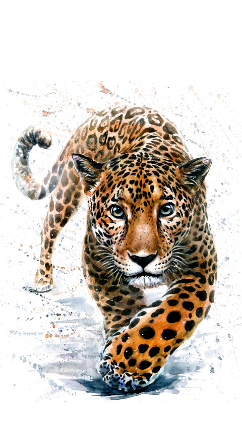 Wild Oil Painting screenshot