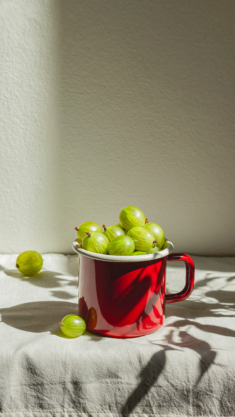 Gooseberry in a red enamel mug in sunlight screenshot