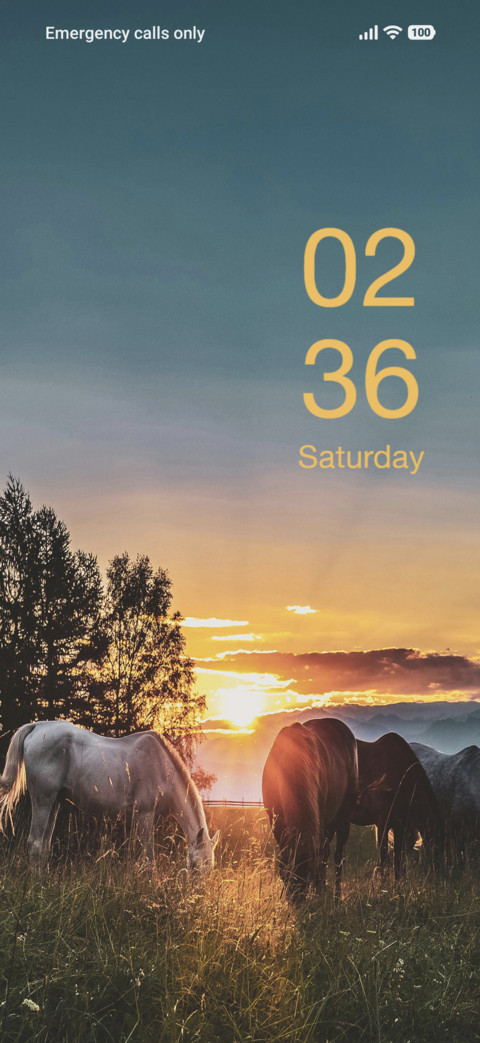 Horse screenshot