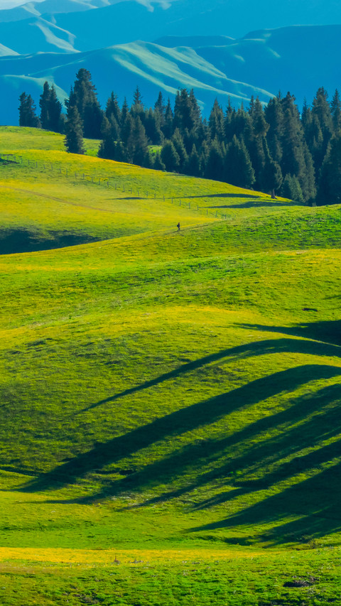 The vast expanse of green fields is depicted in a screenshot