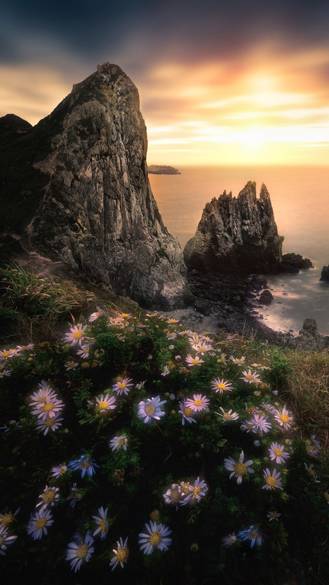 Which coastal line do you want to take screenshot