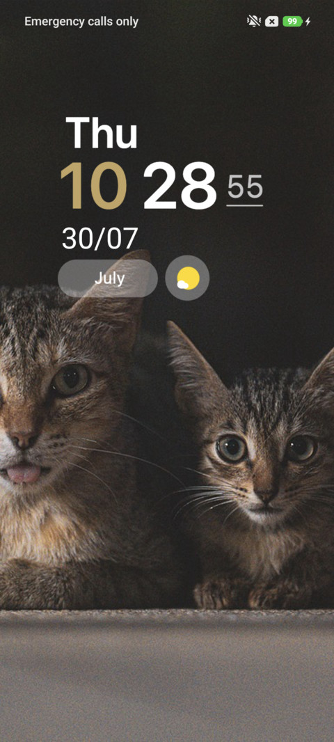 Meowtopia screenshot