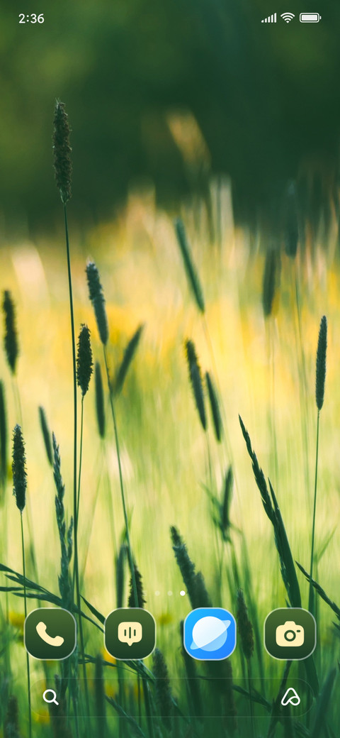 Wildflowers Meadow screenshot