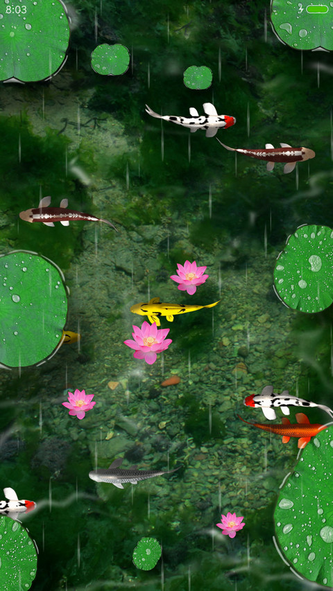 锦鲤 screenshot