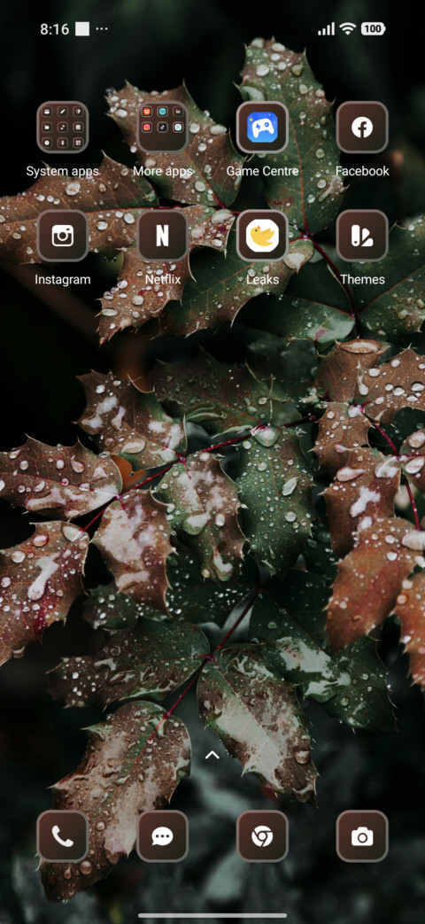 Fresh Leaves screenshot