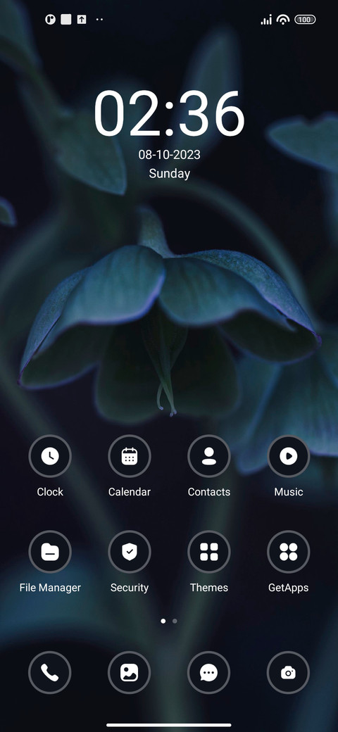 hellebore screenshot