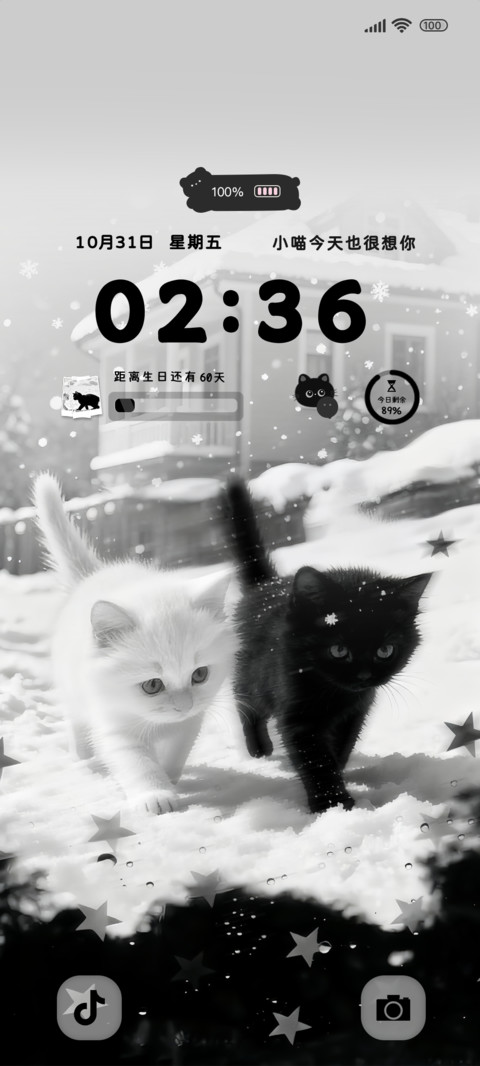 猫咪冬日的暖宝宝 screenshot