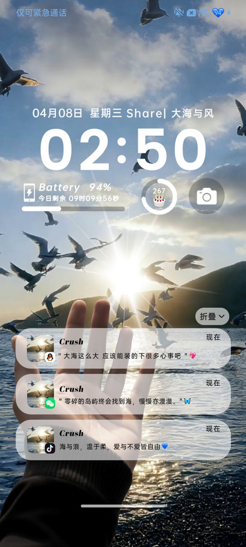 氛围感 自由飞鸟 screenshot