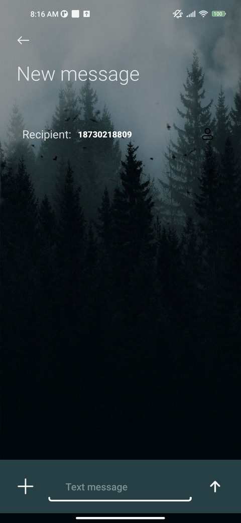 Fog forest screenshot