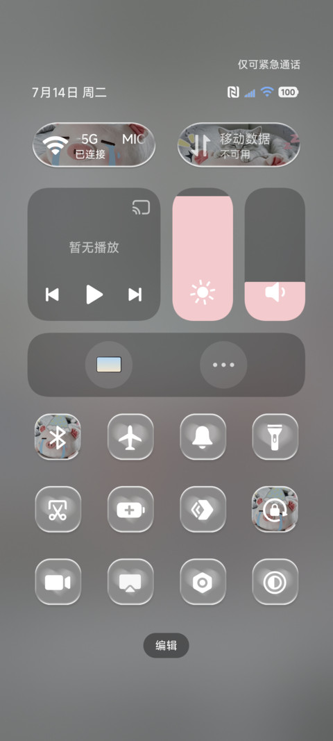 软萌呆呆小猪 多图 screenshot