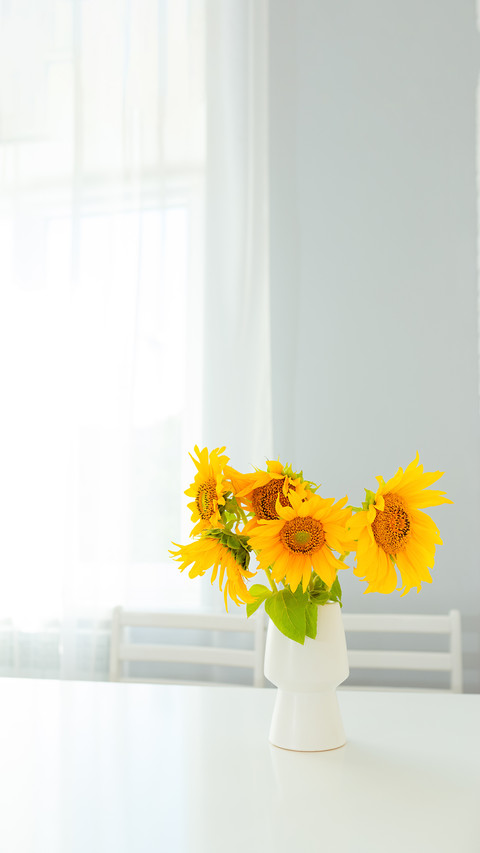 Sunflowers in a white vase stand on a white table screenshot