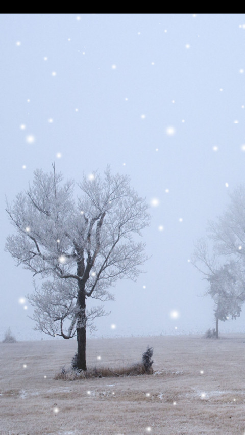 青松傲雪 screenshot