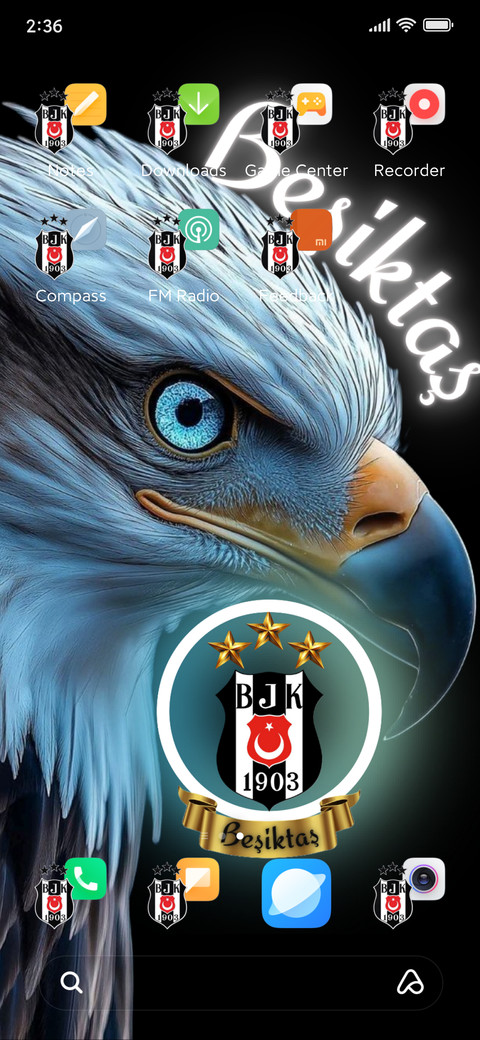 BJK Karakartal screenshot