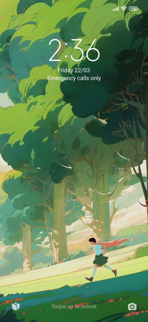 run screenshot