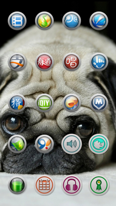 cute_ugly_pug screenshot