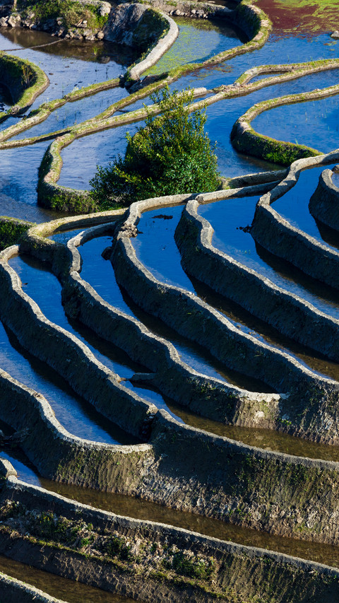 Beautiful Terraces screenshot
