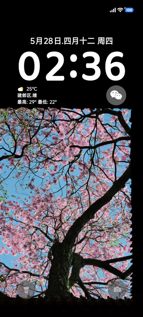 透明ap景深花 screenshot