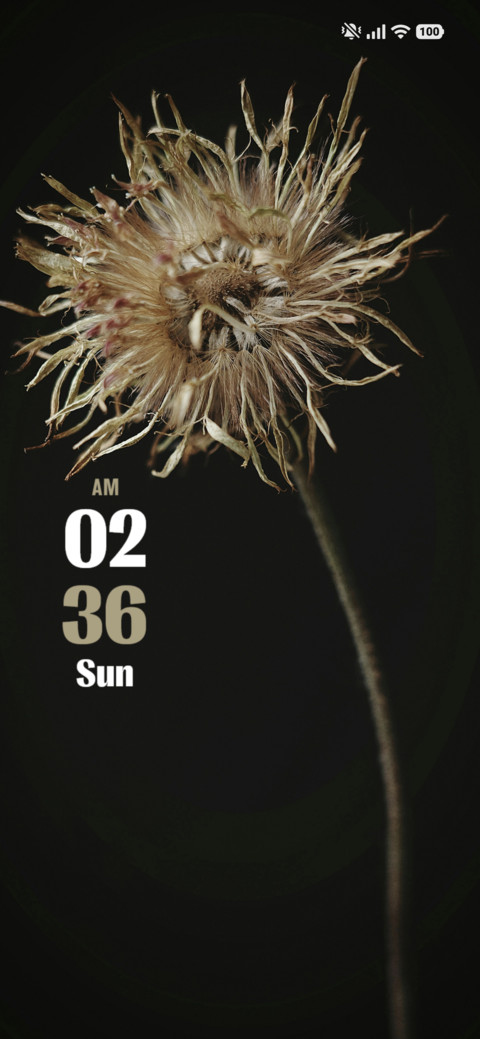 Wild Flower screenshot