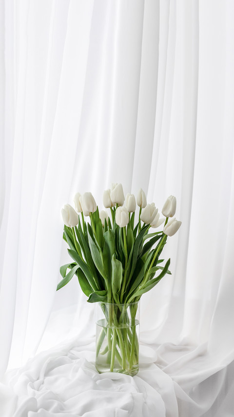 White Spring Flowers Tulips on the Window screenshot