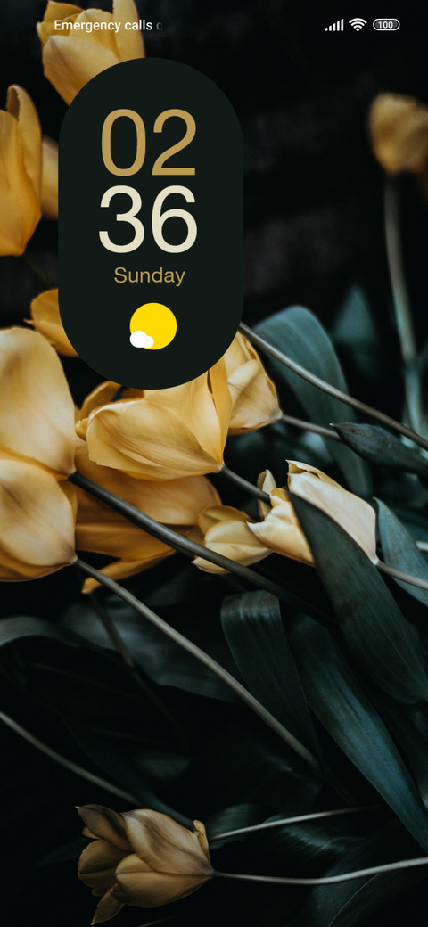 Golden Glow Garden screenshot