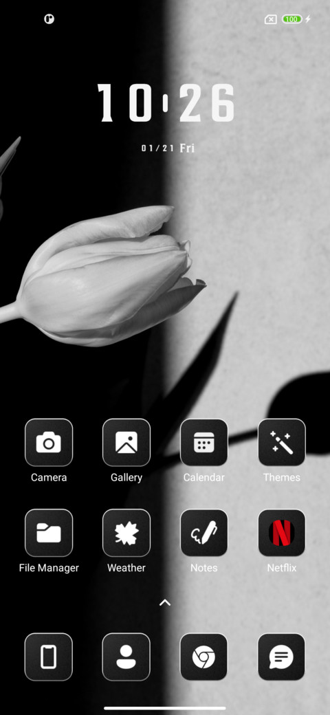 Triumph Tulips screenshot