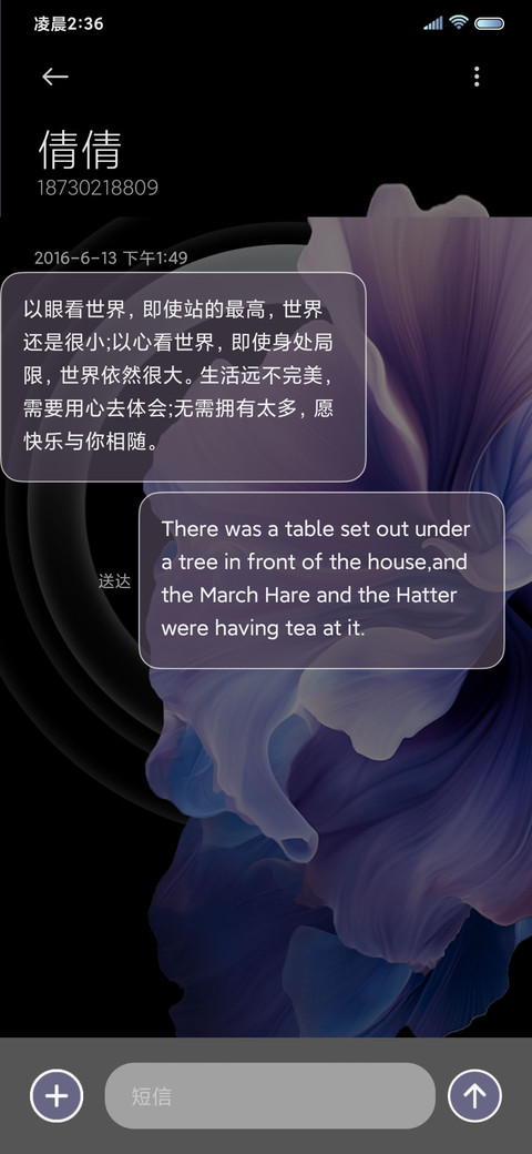 紫罗兰 永恒之恋 screenshot