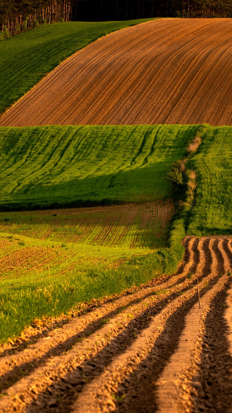 country scenery screenshot