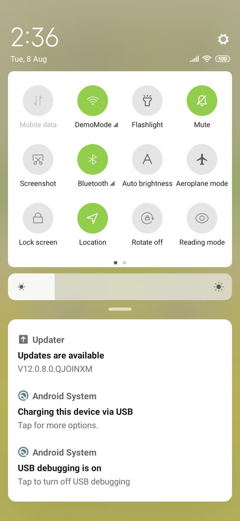 Pineapple Duck screenshot