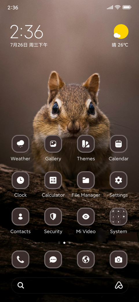 Cute Squirrel screenshot