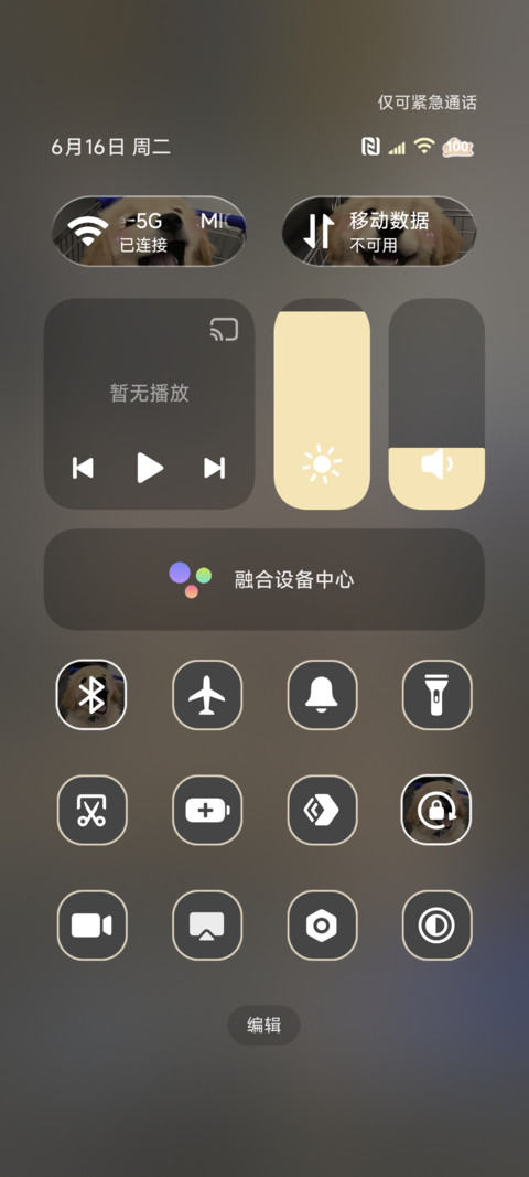 重力 快乐小狗 screenshot