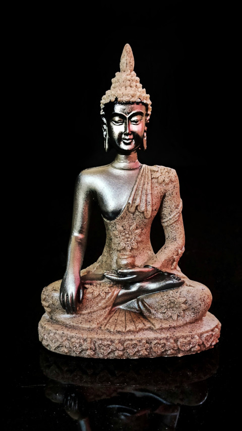 partha2 screenshot