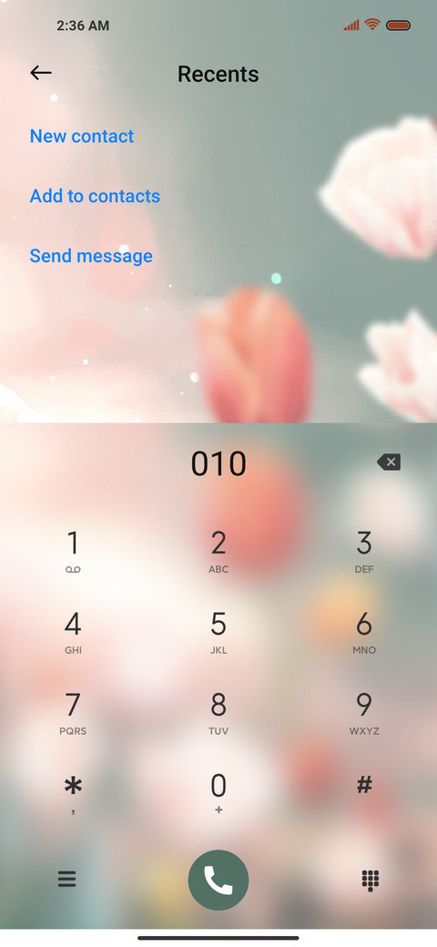Spring tulip screenshot