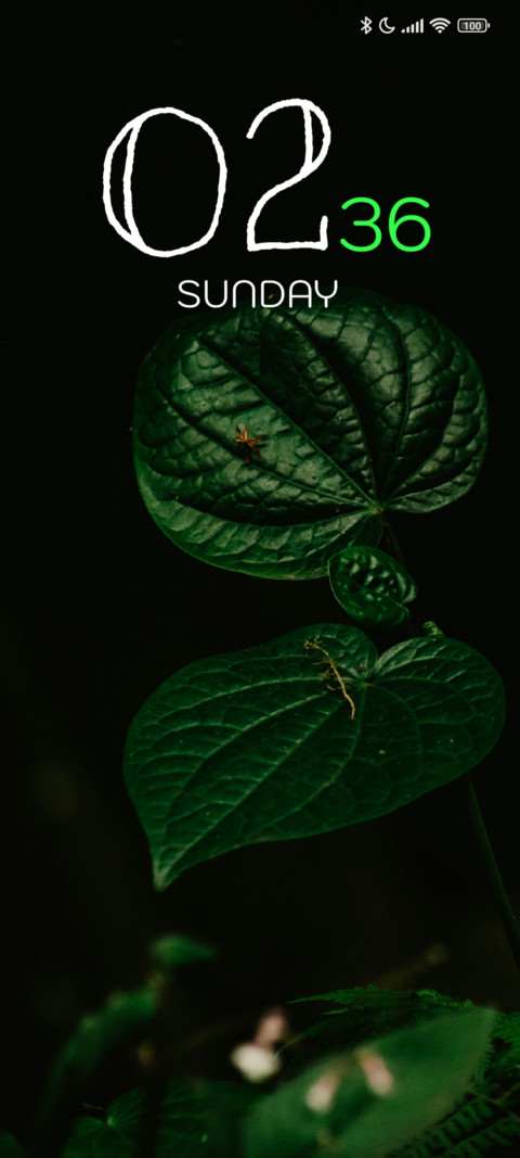 Leaf Glow screenshot