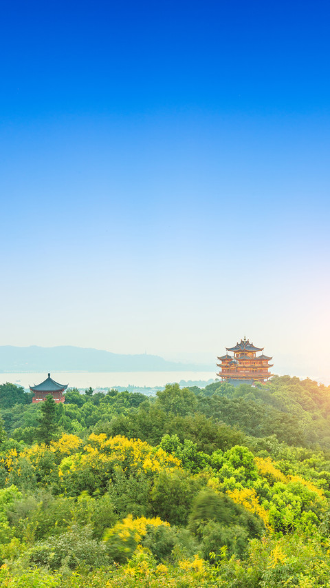 人间天堂 screenshot