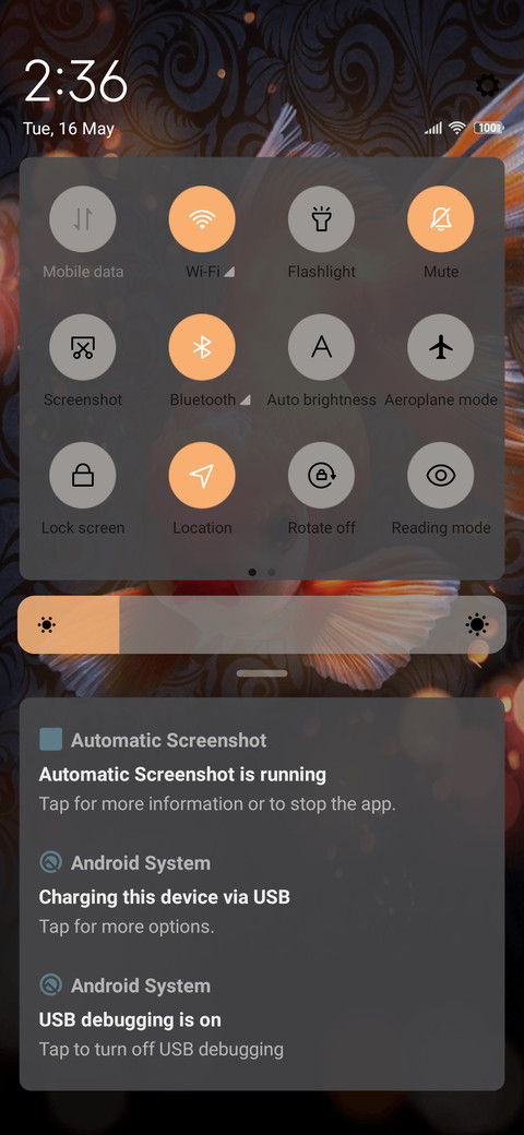 Koi carp screenshot