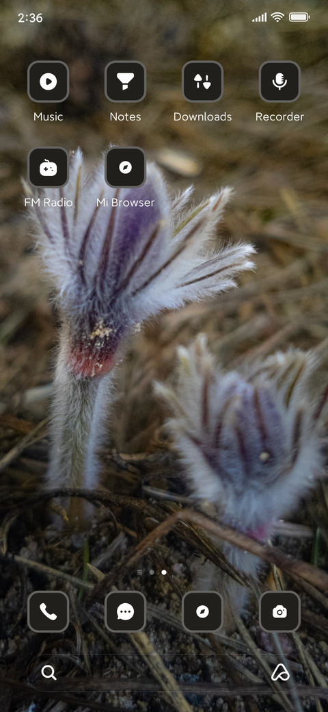 Crocus screenshot