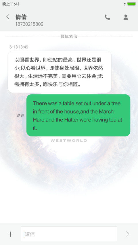 西部世界WESTWORLD screenshot