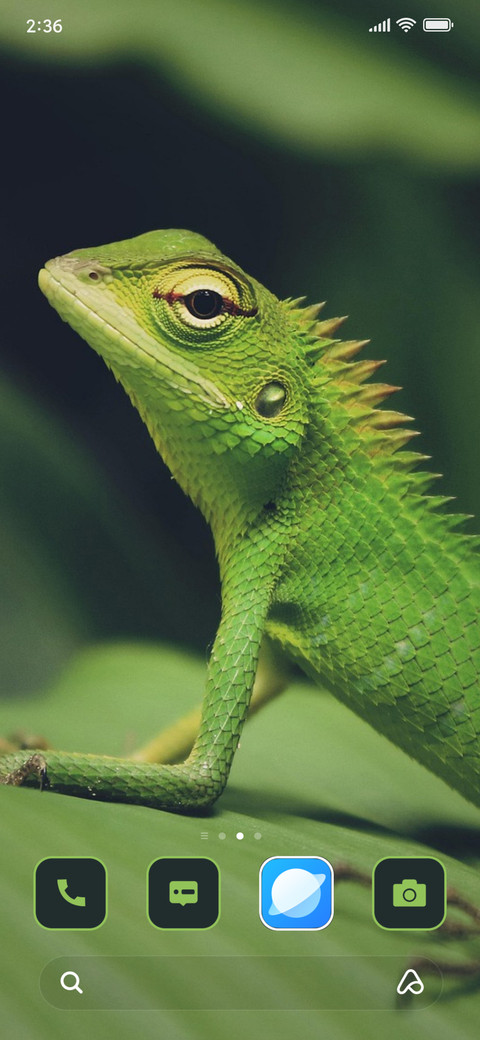 Wild Reptile screenshot