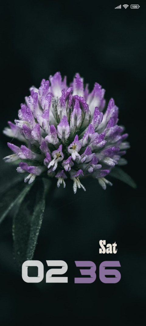 Dark Flower screenshot