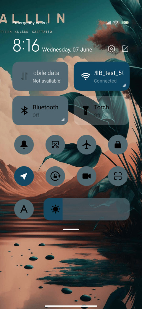 Summer coconut screenshot